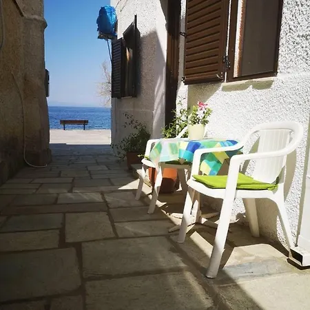 Maria's Yellow * Afissos